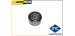 POLIA DE DESVIO/GUIA TENSOR - PEUGEOT 206 / CITOEN XSARA