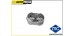 SUPORTE ESCAPE - ALFA ROMEO 147.156 / FIAT GRAND PUNTO - DUCATO
