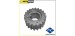 RODA DENTADA DISTRIBUIÇÃO - RENAULT 1.5D