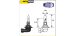 Lâmpada HB3 - 12V - 65W - P20d